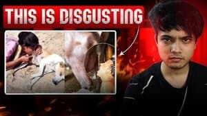 She's Molesting Female Dog for Fame