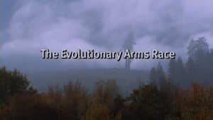 The Evolutionary Arms Race