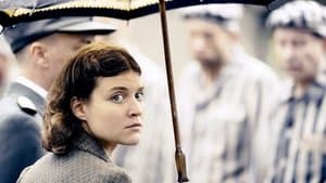 The Garden Next to the Wall