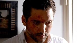 Too many misunderstandings