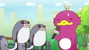 Interviewing People in the City Can Be Touching, Ciee!