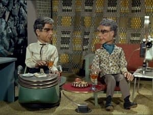 Set Sail for Adventure