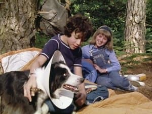 Five on a Secret Trail