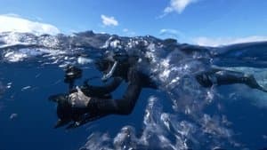 Searching For Monsters