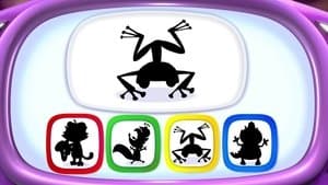 Moonlight Night Flight