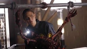 Two Bodies in the Lab