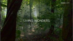 Living Wonders