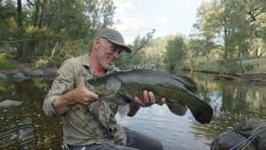 Jurassic River Beast