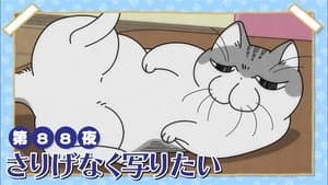 Night 88: He Wants to Sneak Into the Shot