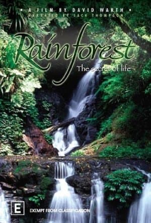 Rainforest: The Secret Of Life