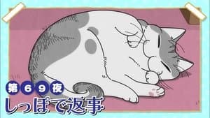 Night 69: Responding By Tail