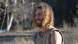 The Bears and the Bees