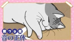 Night 79: The Source of the Sound