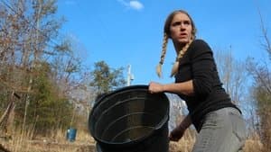 Down the Rabbit Hole