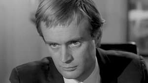 The Deadly Decoy Affair