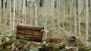 A Treasured Creation: Today's Treasure - Bamboo Basket