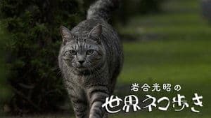 Episode 145