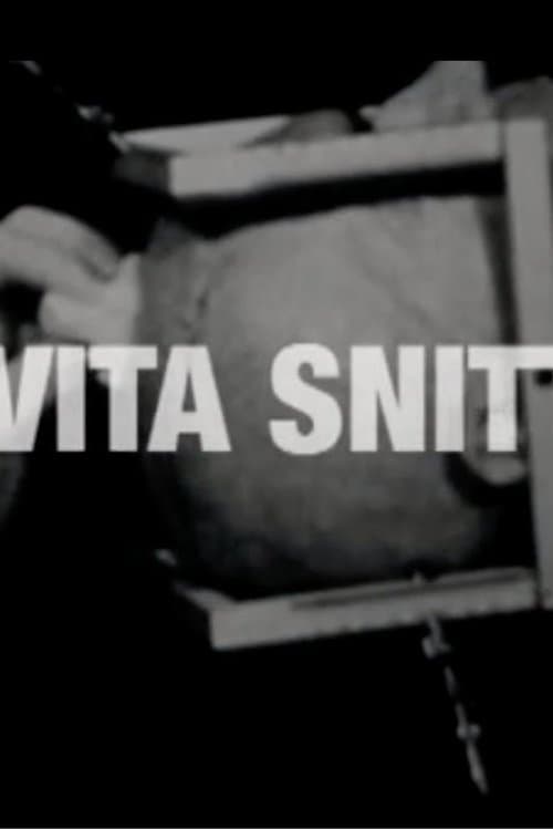 Det Vita Snittet