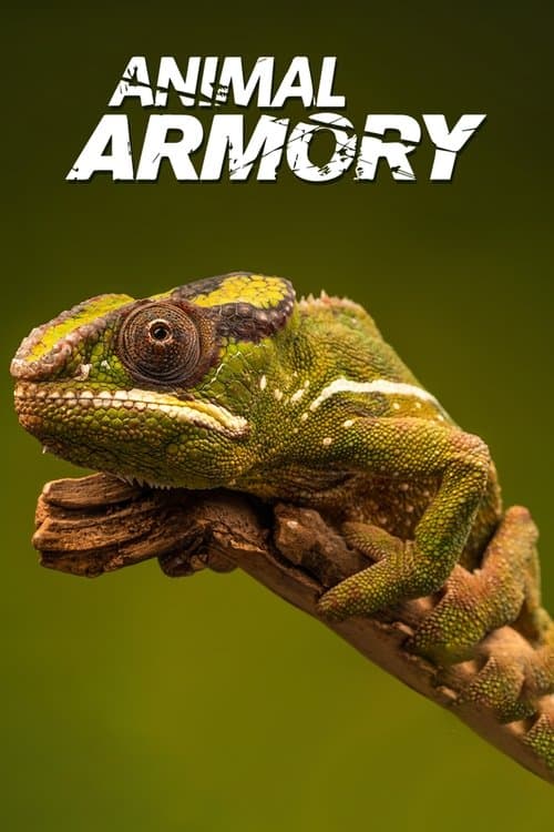 Animal's Armory