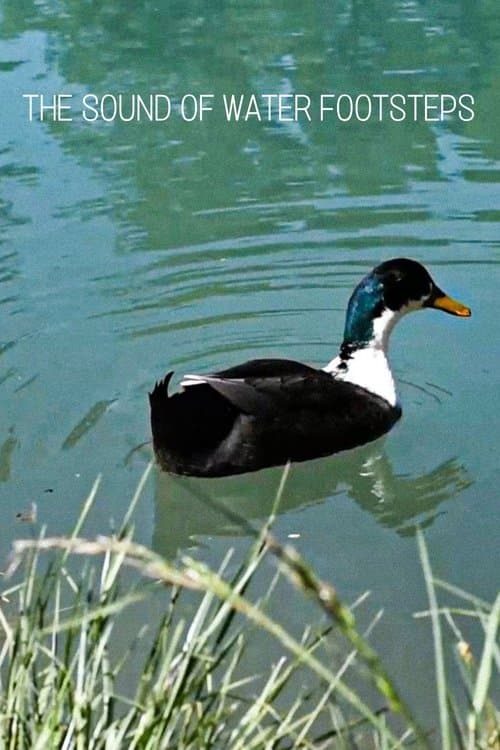The Sound of Water Footsteps