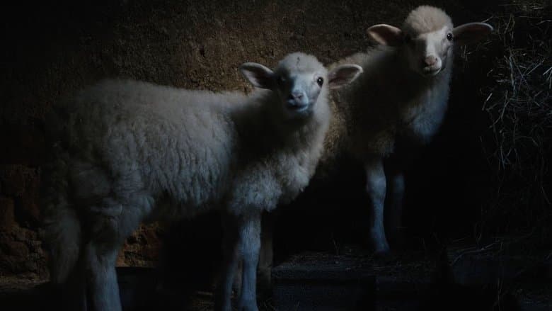 Agnus Dei