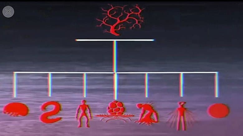 Vita Carnis - Living Meat Documentary