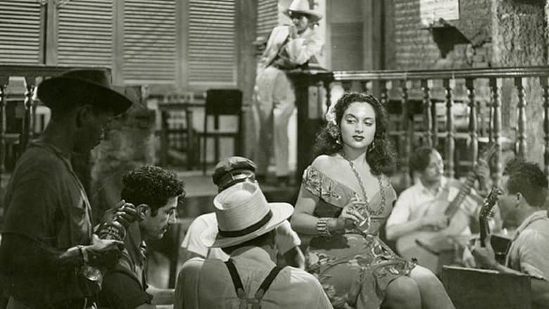 The Yacht Isabel Arrived This Afternoon