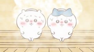 Cold Bath / Citric Acid