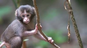 The Southwest Islands