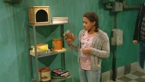 Episode 17