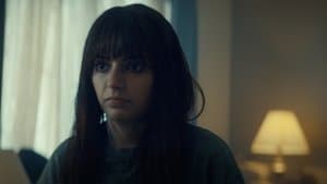 Run Along Little Lamb