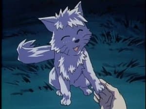Curse of Wolves - Part 1