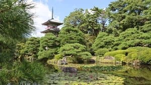 Saving the World's Forests