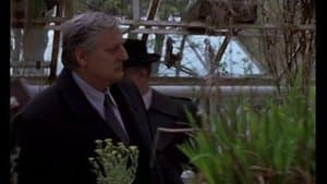 Maigret and the Minister