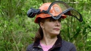 Wales And The West Country