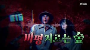 Episode 1180