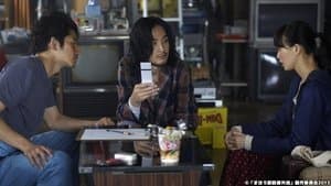 We'll help you, Online Dating, Sakura Love