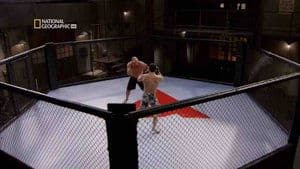 Mixed Martial Arts