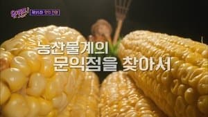Episode 95