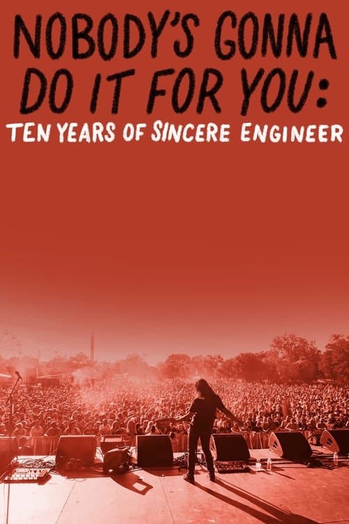 Nobody’s Gonna Do It For You: Ten Years of Sincere Engineer